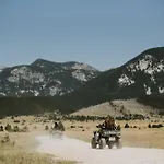 Pinery A-frame House