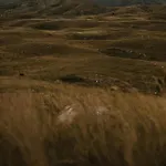 Chalet Pinery A-frame House