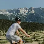 Pinery A-frame House Chalet *