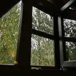 Pinery A-frame House