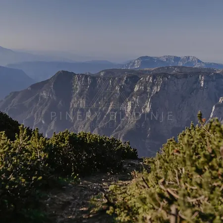 Chalet Pinery A-frame House