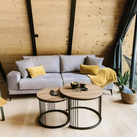 Pinery A-frame House شاليه