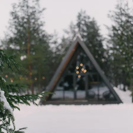 Pinery A-frame House Dağ evi *
