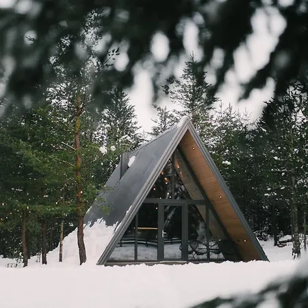Pinery A-frame House شاليه