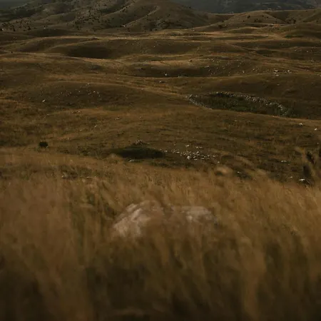 Chalet Pinery A-frame House