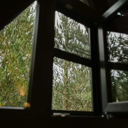 Pinery A-frame House