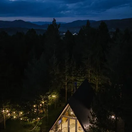 Pinery A-frame House Dağ evi *