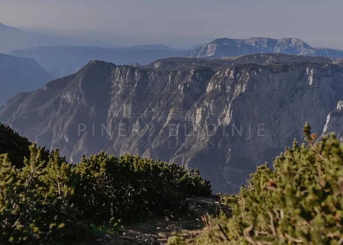Chalet Pinery A-frame House