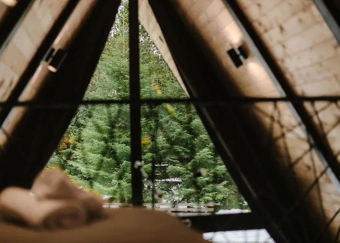 Chalet Pinery A-frame House Blidinje