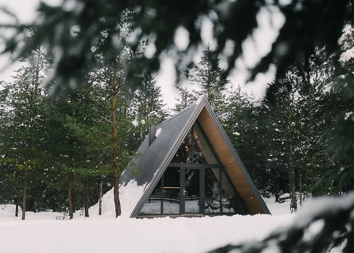 Pinery A-frame House Chalet