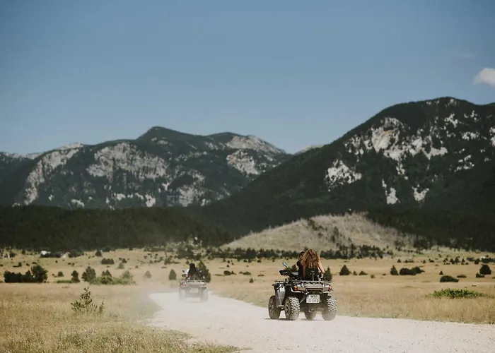 Pinery A-frame House