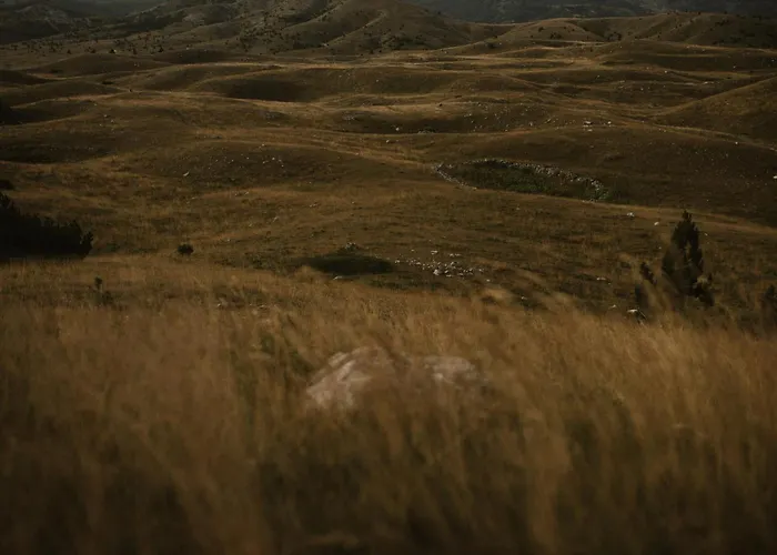 Chalet Pinery A-frame House