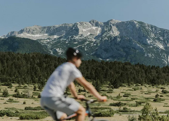 Pinery A-frame House Chalet *