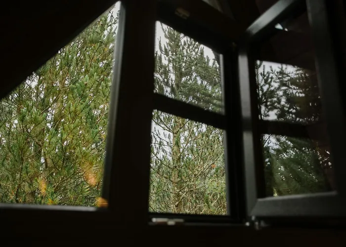 Pinery A-frame House