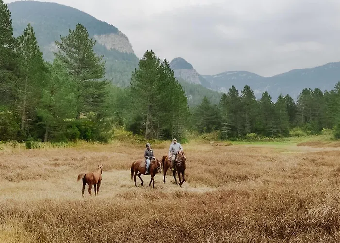 Pinery A-frame House Blidinje